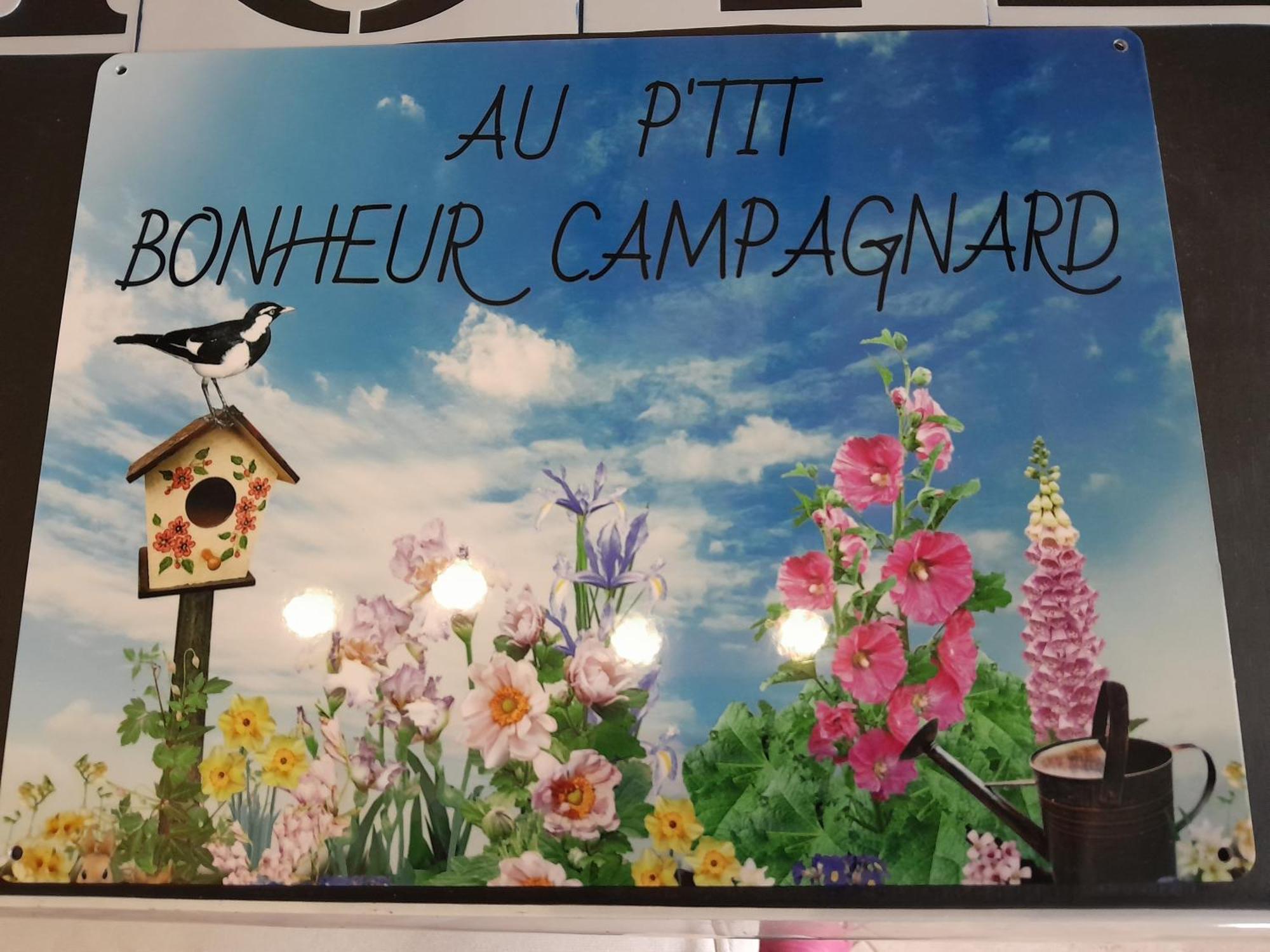Chambres D Hotes Au P'Tit Bonheur Campagnard Jarnosse 외부 사진
